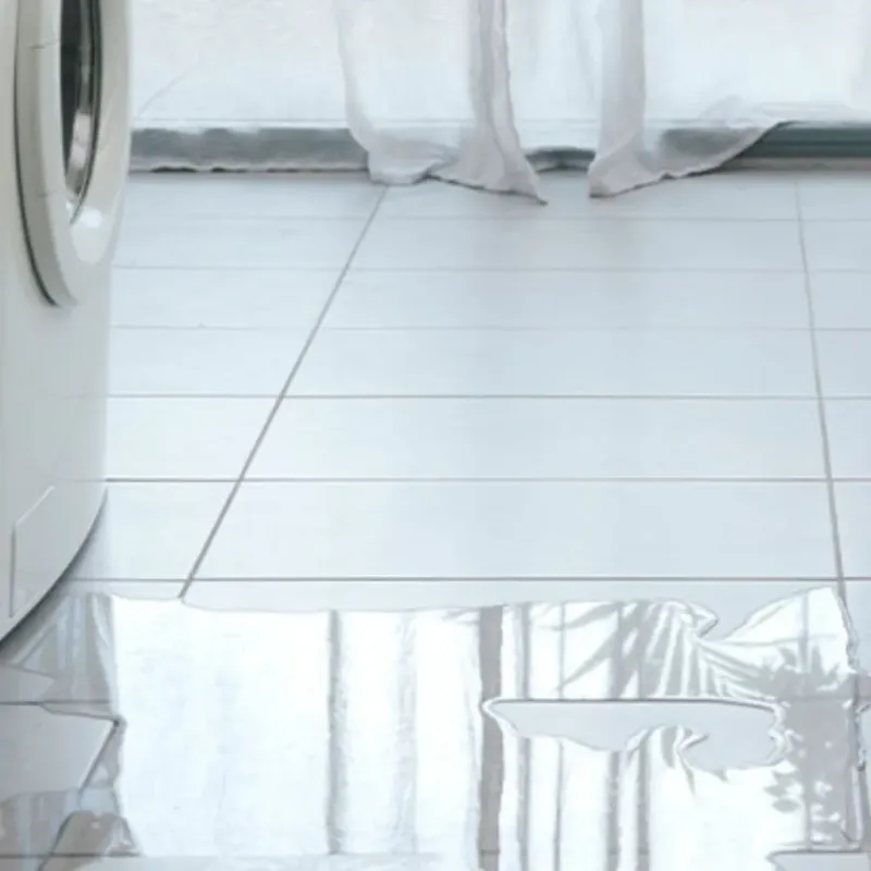 Appliance Leak Cleanup in El Paso, IL