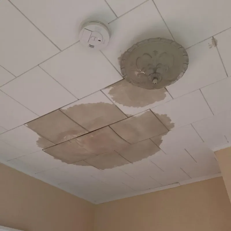 Ceiling Water Damage Repair in El Paso, IL