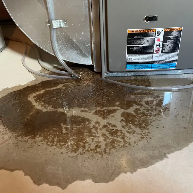 Pipe Burst and Leak Restoration in El Paso, IL
