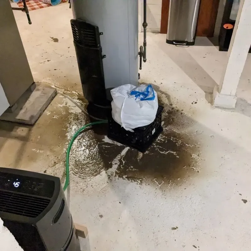 Sewage Backup Cleanup Service in El Paso, IL